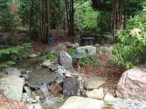 Water Gardens and Features